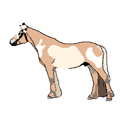 HORSE  logo.bmp