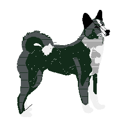 Karelsk Bjørnhund.jpg