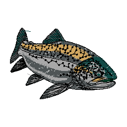 fish logo.jpg