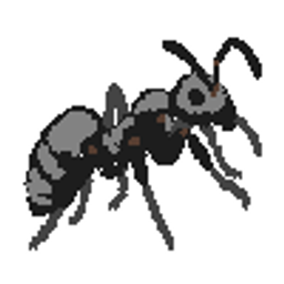 Ant Logo.JPG