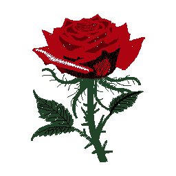 Blomster 1.bmp