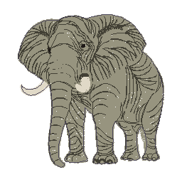 Elefant 2.bmp