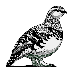 BIRD LOGO 3.jpg
