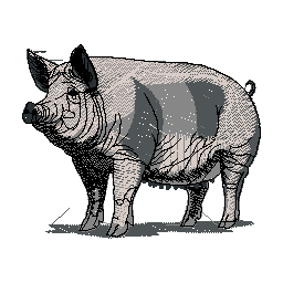 PIG LOGO copy.jpg